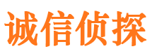 琼山调查公司